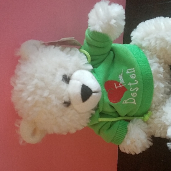Plush Bear wearing green Boston sweatshirt - Picture 3 of 5